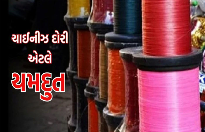અડાસ અને પેટલાદમાં ચાઇનીઝ દોરીના 255 ફિરકા સાથે બે પકડાયા