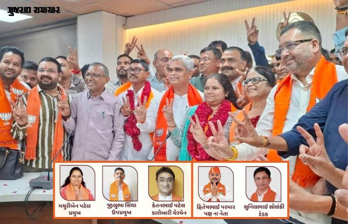 આણંદ જિ.પં માં હાઈ વોલ્ટેજ ડ્રામા: BJP ઉમેદવારનું ફોર્મ રદ થયું છતાં બન્યાં પ્રમુખ! હાઈકોર્ટના આદેશે કોંગ્રેસના સપનાં રોળ્યા