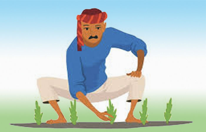 ખેડૂતોને રાહતના બજેટમાં 50 ટકા રીલ માટે