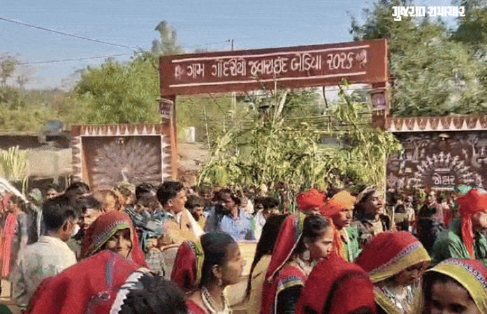 VIDEO: છોટા ઉદેપુરના બૈડિયા ગામે 90 વર્ષ બાદ બદલાઇ 'દેવોની પેઢી', અનોખી પરંપરા સદીઓથી અકબંધ