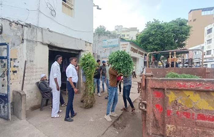 કેટલ પોલિસીની કડક અમલવારી: જામનગરમાં બીજા દિવસે જાહેરમાં ઘાસ વેચાણ કરતા લોકો પાસેથી 5.20 ટન ઘાસ જપ્ત