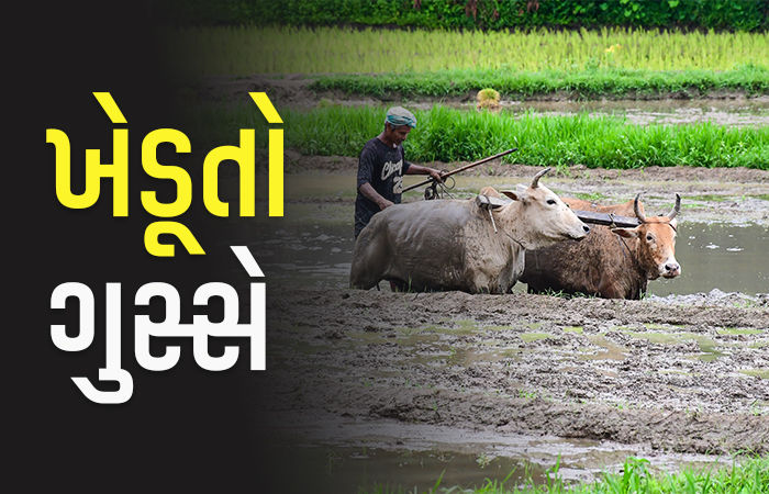 ખેડૂતો કહે છે, ખાતર મળતું નથી : કૃષિ વિભાગ કહે છે, ખાતરનો પૂરતો સ્ટોક છે : સાચું કોણ?