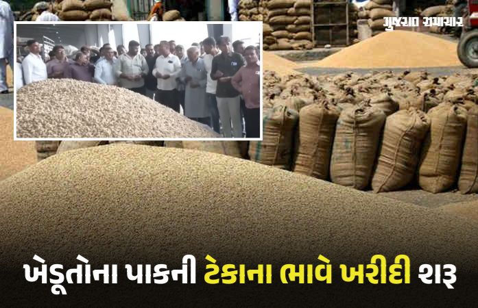 ગુજરાતમાં આજથી મગફળી સહિતના પાકની ટેકાના ભાવે ખરીદી શરૂ, CCTVથી સમગ્ર પ્રક્રિયા પર નજર