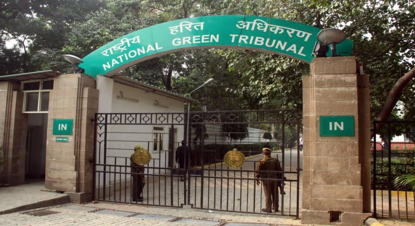 Narmada river pollution: Green Tribunal summons Dindori district authorities