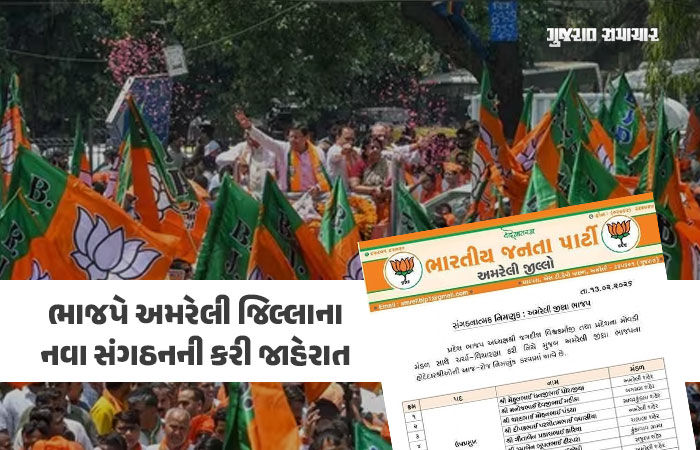 અમરેલી જિલ્લા ભાજપનું નવું માળખું જાહેર, 8 ઉપપ્રમુખ, 3 મહામંત્રી અને 8 મંત્રીને સોંપાઈ જવાબદારી