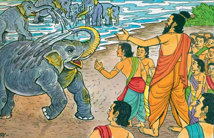 હાથી શીખવે ધૂળિયા પાઠ!