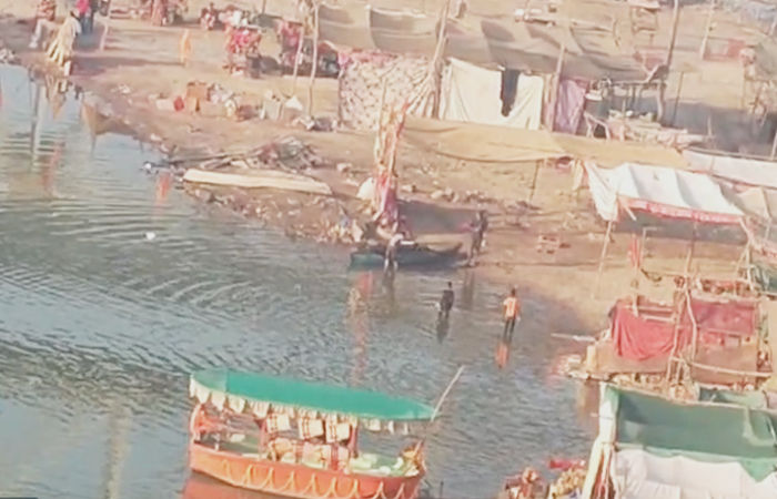 મહીસાગર નદીમાં ઝેરી દવા નાખી ઝીંગા-માછલી મારવાનો આક્ષેપ : કિનારે મોટી સંખ્યામાં મૃત માછલી-ઝીંગા મળતા ચકચાર