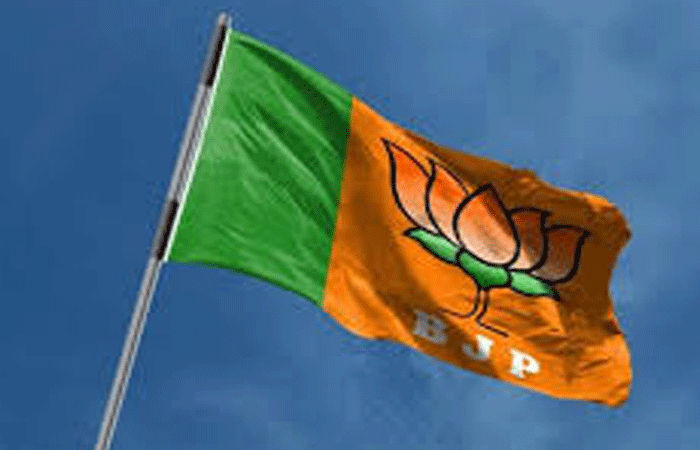 વડોદરામાં આચાર સંહિતાનો કડક અમલ શરૂ : ભાજપના ઝંડા, બેનરો ઉતારાયા