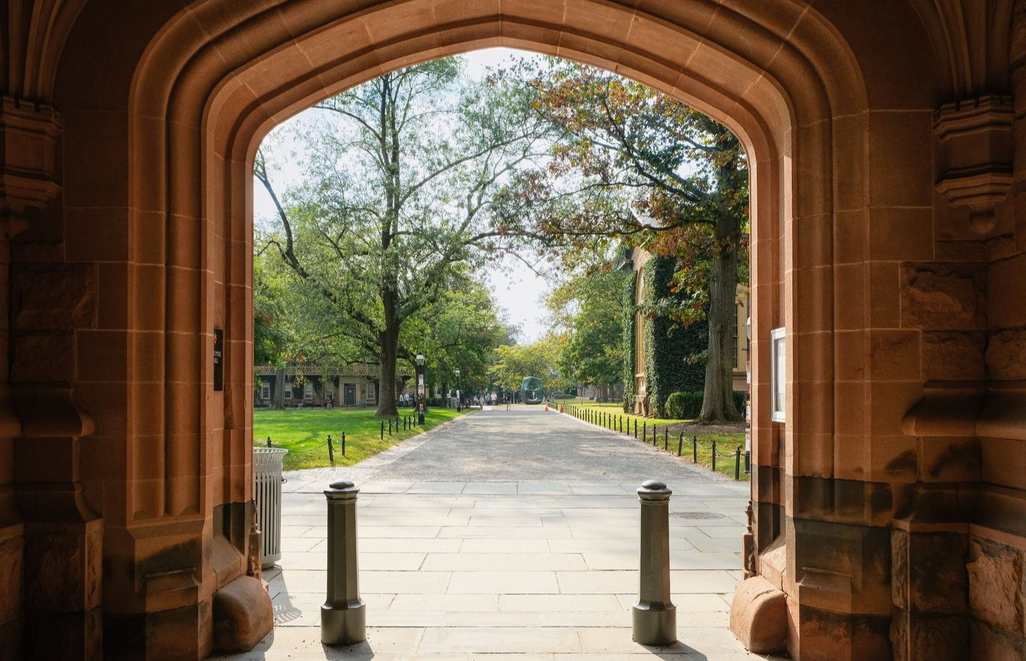 Is Harvard Losing Its Edge? What Global Rankings Really Show