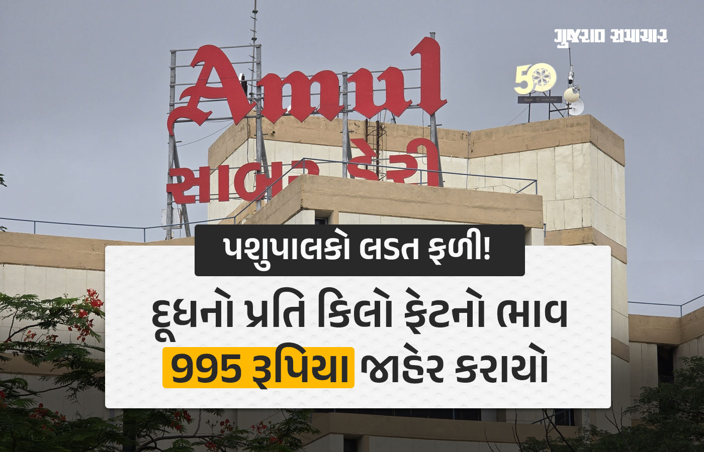 સાબર ડેરીનો પશુપાલકોના હિતમાં મોટો નિર્ણય, દૂધના પ્રતિ કિલો ફેટના ભાવમાં વધારો