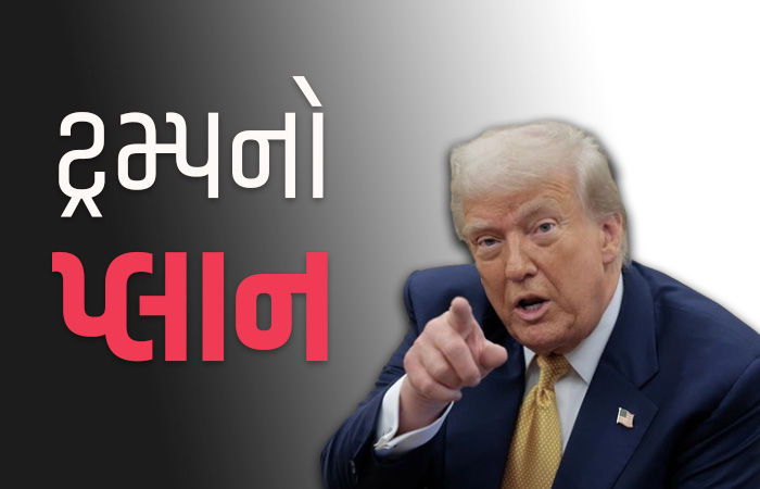 ટેરિફથી અબજો ડૉલર ભેગા કરી શું કરશે ટ્રમ્પ? અમેરિકન પ્રમુખના મગજમાં લોકોને આકર્ષવાનો પ્લાન