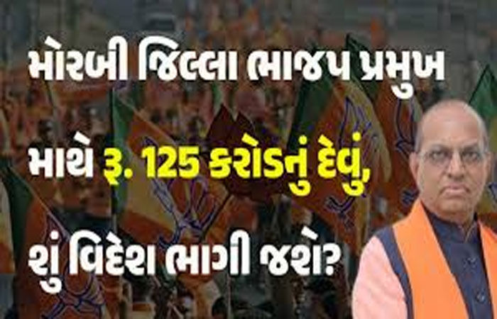 મોરબી ભાજપ પ્રમુખના 700  કરોડના કાંડમાં EDના દરોડા કેમ પડતા નથી