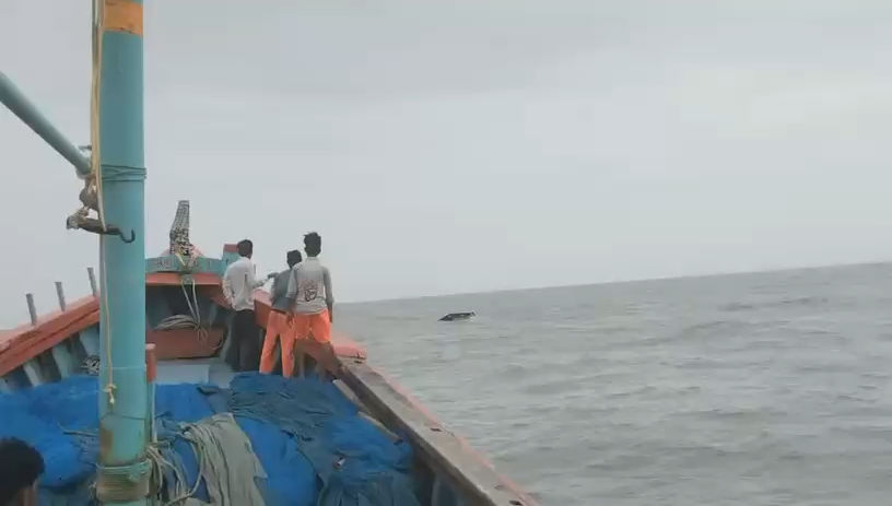 જાફરાબાદના દરિયામાંથી વધુ બે માછીમારના મૃતદેહ મળ્યાં, હજુ 7 લાપતા, શોધખોળ ચાલુ