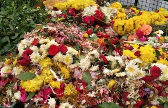 વડોદરામાં રથયાત્રા બાદ ફૂલો અને ઓર્ગેનિક કચરાનો 1.2 મેટ્રિક ટન જથ્થો એકત્રિત કરાયો