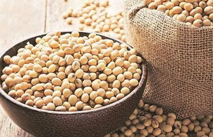 ભારત-ચીનની  કિલ્લેબંધી : અમેરિકન સોયાબીનના કોઈ ખરીદદાર જ નહીં