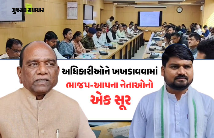 નર્મદા: ફોરેસ્ટ અધિકારીઓ 'વિચિત્ર પ્રાણી' અને 'ક્રેક મગજના' છે.., સંકલન બેઠકમાં સાંસદ મનસુખ વસાવા વિફર્યા