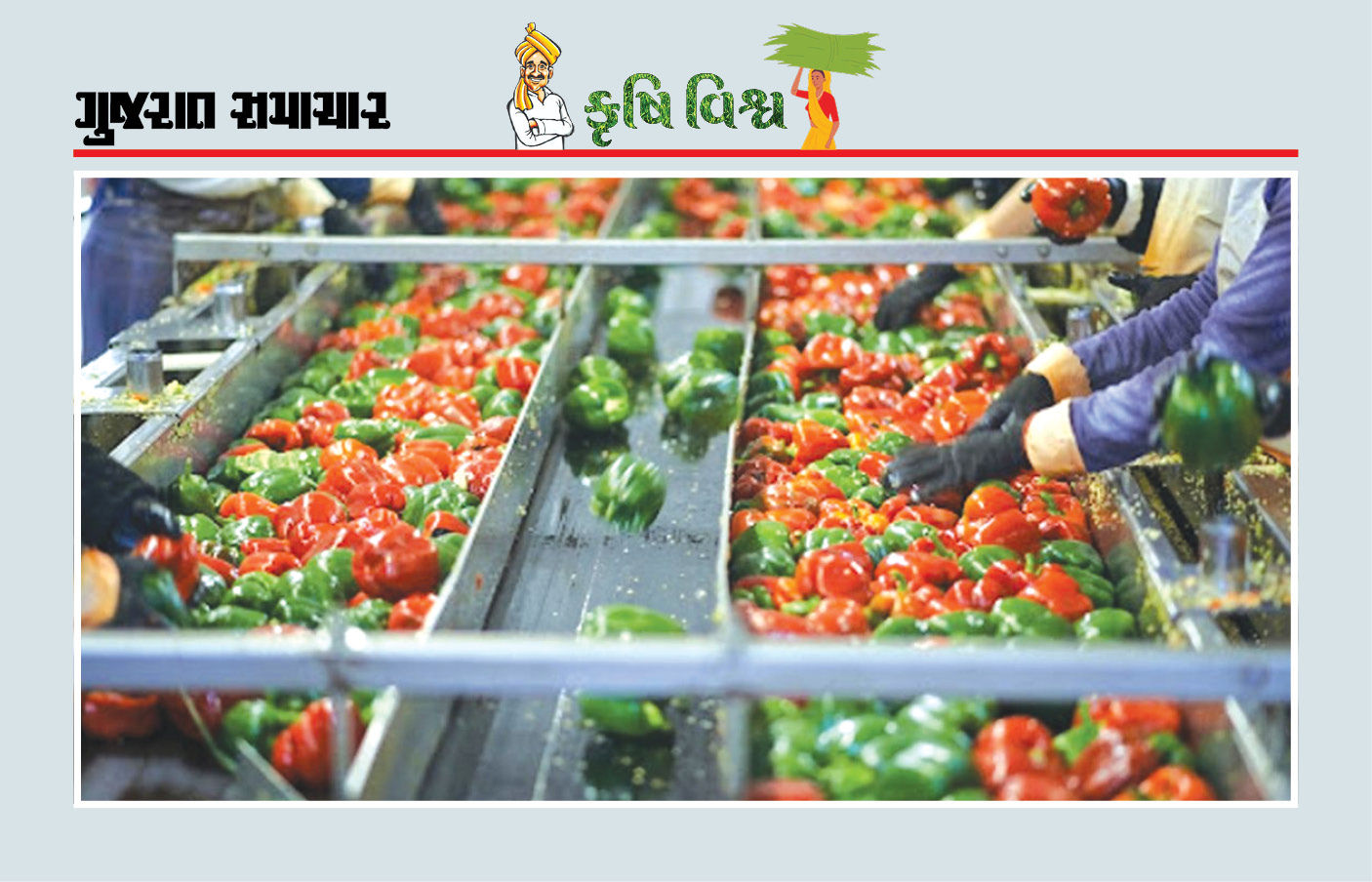ખેતપેદાશની રાષ્ટ્રીય-આંતરરાષ્ટ્રીય માંગની સમજ કેળવીએ, સારા ભાવ આપોઆપ મળશે ખેતપેદાશની રાષ્ટ્રીય-આંતરરાષ્ટ્રીય માંગની સમજ કેળવીએ, સારા ભાવ આપોઆપ મળશે