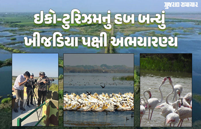 જામનગર: ખીજડિયા રામસર સાઈટમાં પક્ષીઓની પ્રજાતિ વધીને 332 થઈ, એક વર્ષમાં 52,000થી વધુ પ્રવાસીઓ પહોંચ્યા