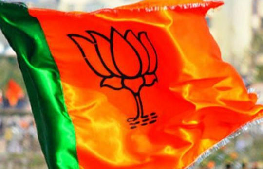 દિલ્હીના નેતાઓ વગર ગુજરાત ભાજપની કસોટી! હાઈકમાન્ડ પાંચ રાજ્યોની ચૂંટણીમાં વ્યસ્ત, પ્રદેશ નેતાઓના ખભે ભાર
