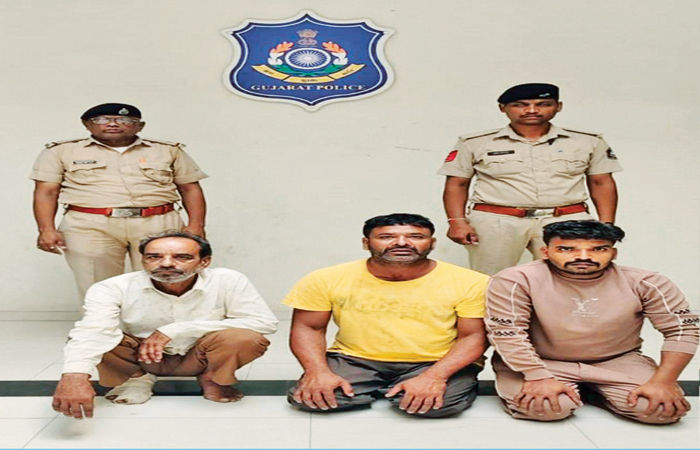 ભાલેજ ગામેથી કતલ કરવાના ઇરાદે લવાતા સાત પશુઓ બચાવાયા