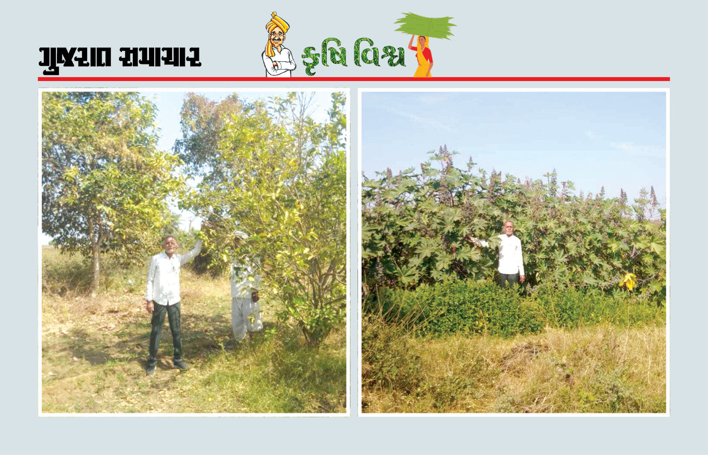 ખારાશવાળી જમીન ફળદ્રુપ બની, ખેતી ખર્ચ બચ્યો, કૃષિ ઉત્પાદન પણ મળ્યું બમણું
