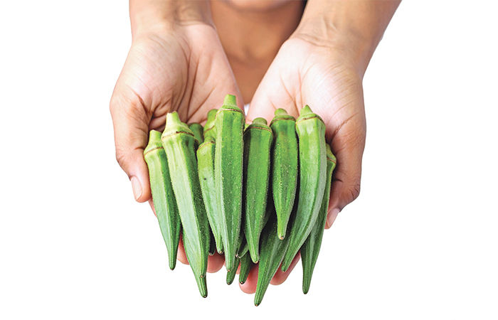 ગુણકારી ભીંડા                                           .