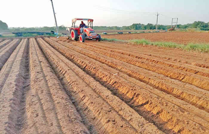 રવી સિઝનમાં ખાતરની કૃત્રિમ અછત