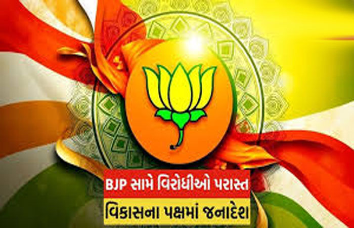 જિલ્લાની ચૂંટણીમાં ભાજપની સુનામી : 308 બેઠકમાં કમળને જીતનો કળશ