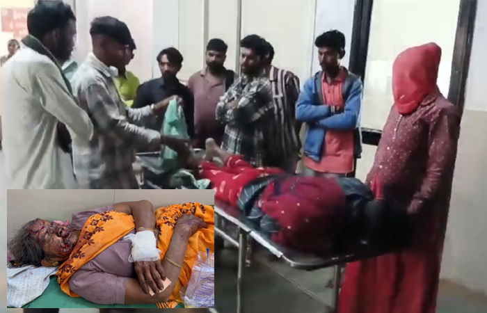 અમરેલી નજીક વાડીએ કામ કરતા શ્રમિક પર સિંહનો હુમલો