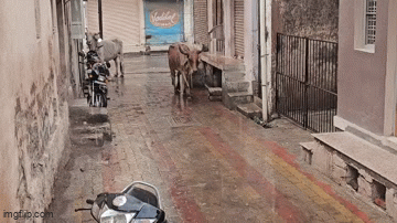 જામનગર: કાલાવડમાં ભારે ઉકળાટ બાદ કમોસમી વરસાદ, આકાશમાં કાળા ડિબાંગ વાદળોથી ગરમીમાં રાહત પણ ખેડૂતો ચિંતિત!