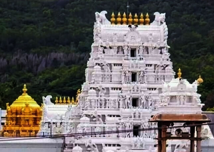 Lab report confirms presence of impurities in Tirumala laddu, claims TDP