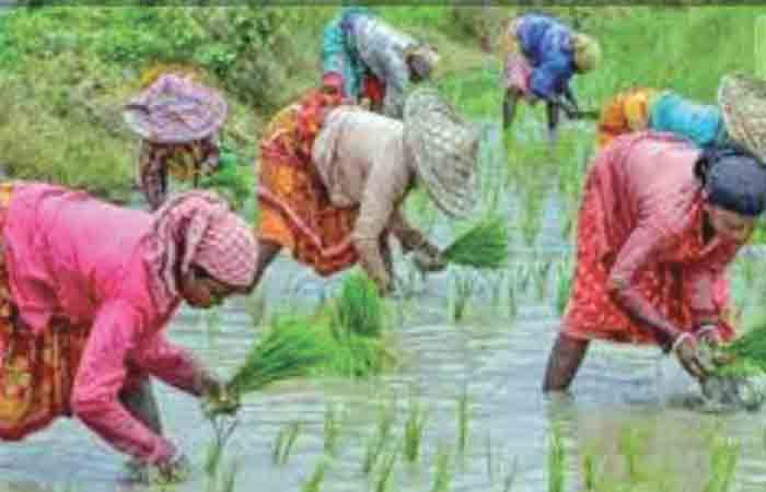 એશિયામાં અલ્પવર્ષા-યુગની શરૂઆત થઈ છે એશિયામાં અલ્પવર્ષા-યુગની શરૂઆત થઈ છે