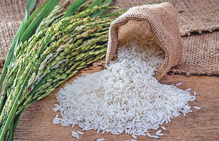 ચોખાનો સ્ટોક વધતાં ઈથેનોલ તરફ ફાળવણીમાં વૃદ્ધિ