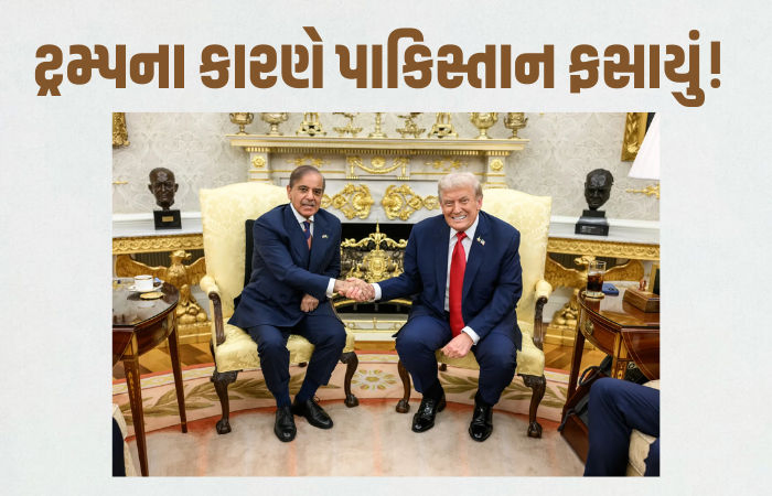 'તાત્કાલિક કરાર પર સહી કરો...', ટ્રમ્પની નવી ચાલના કારણે પાકિસ્તાન સહિતના મુસ્લિમ દેશો ધર્મસંકટમાં!