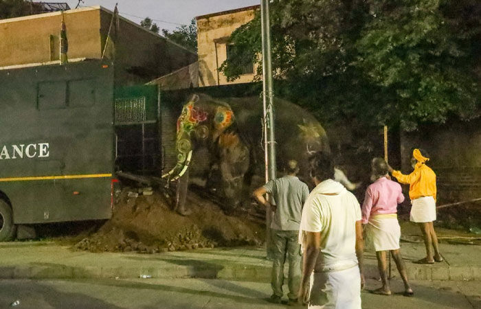 રથયાત્રામાં ઉશ્કેરાયેલા હાથીની મદદે વનતારા, 5 ઍમ્બ્યુલન્સ અને નિષ્ણાતોની ટીમ અમદાવાદ મોકલી