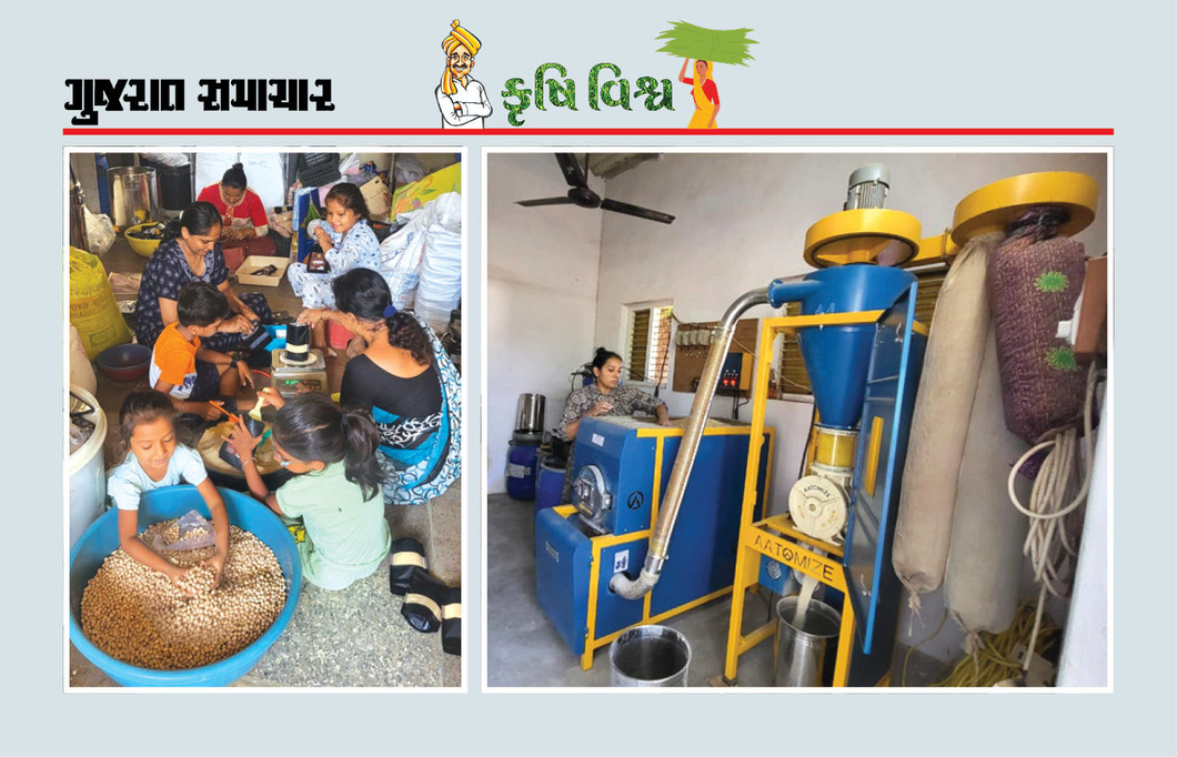 ખેતી સાથે મૂલ્યવર્ધન દ્વારા વાર્ષિક રૂપિયા 18 લાખની ચોખ્ખી આવક