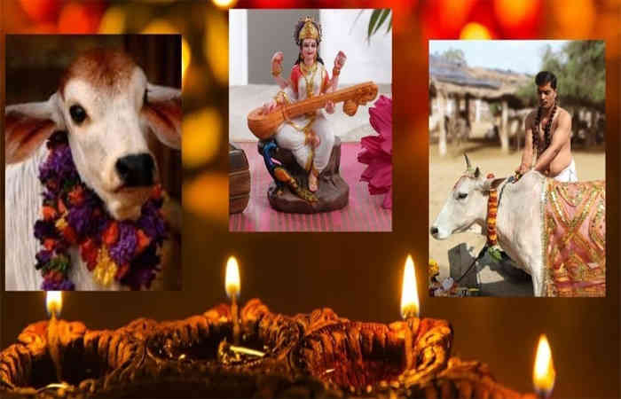 દિવાળીની ઊજવણી વાક્ બારસને આપણે વાધ-બારસ બનાવી દીધી છે