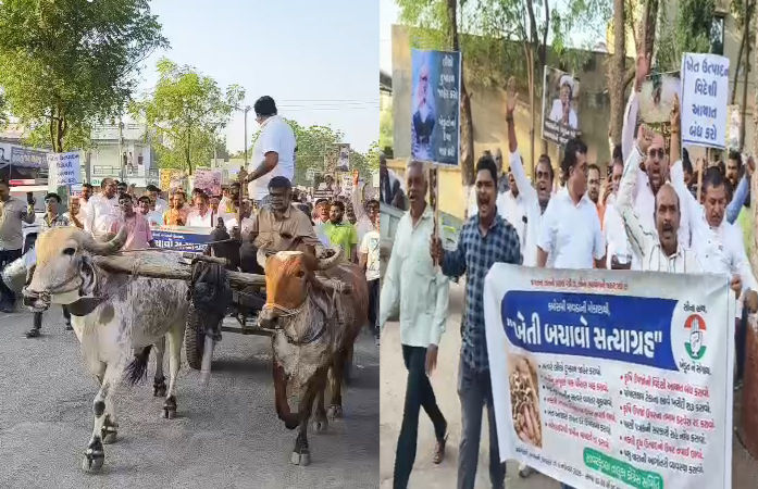 ખેતી બચાવો સત્યાગ્રહ: સાવરકુંડલામાં દેવા માફી સહિતના 15 મુદ્દે પ્લે કાર્ડ-બેનર સાથે ખેડૂતોનું આંદોલન