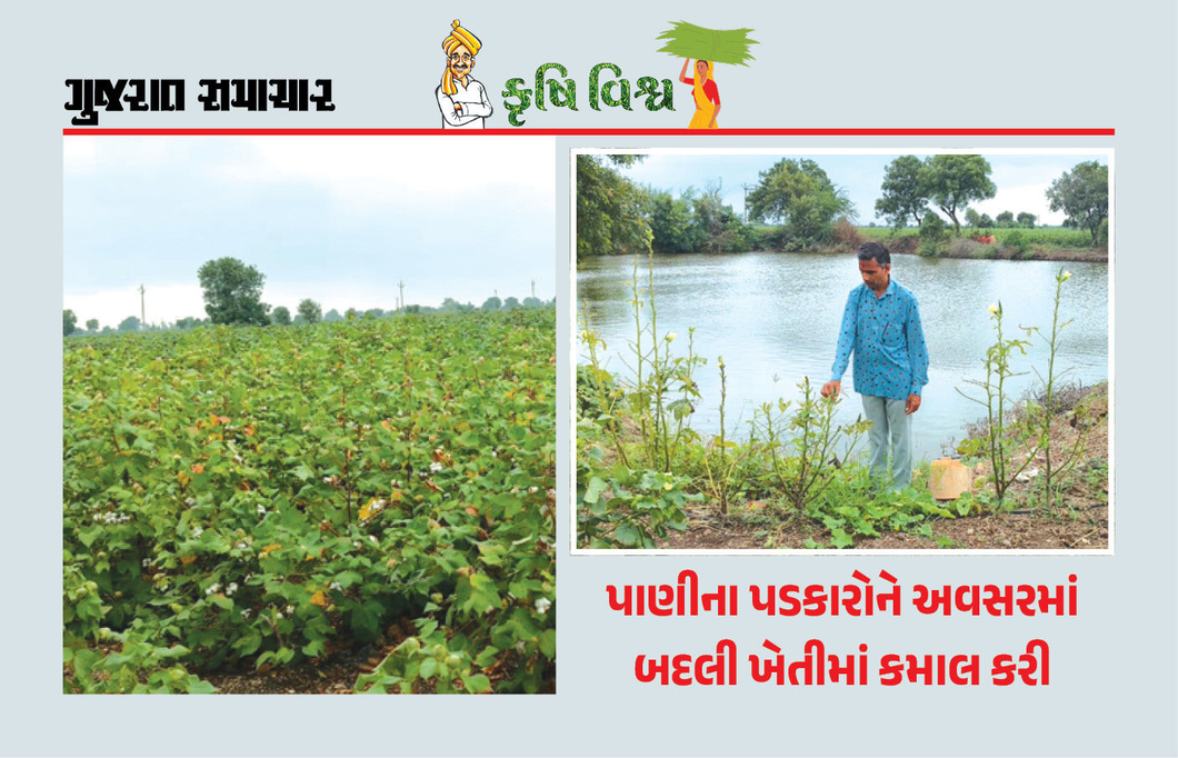 વાર્ષિક સરેરાશ ઉત્પાદન 500 મણથી વધીને 2500 મણ સુધી પહોંચ્યું