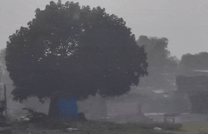VIDEO : નવા વર્ષે ગુજરાતના અનેક જિલ્લામાં કમોસમી વરસાદ, આગામી 6 દિવસ વરસાદનું એલર્ટ