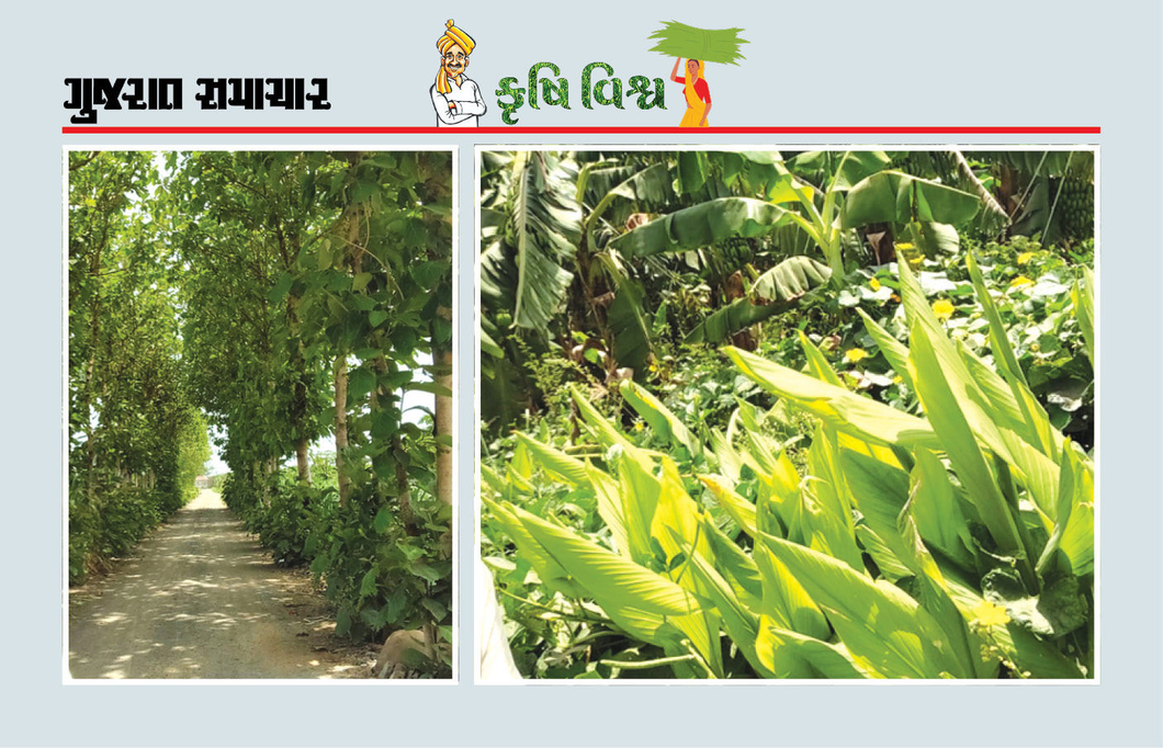 ધરતી આપણી માતા, તેનું સંવર્ધન આપણું પણ જતન કરશે