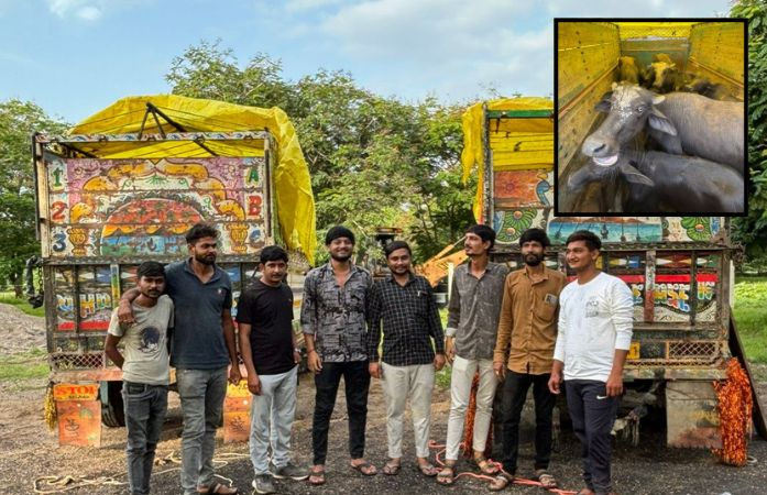 કચ્છથી જામનગરમાં કતલખાને લઈ જવાતા 21 અબોલ જીવને બચાવાયા, ત્રણ આરોપીની ધરપકડ