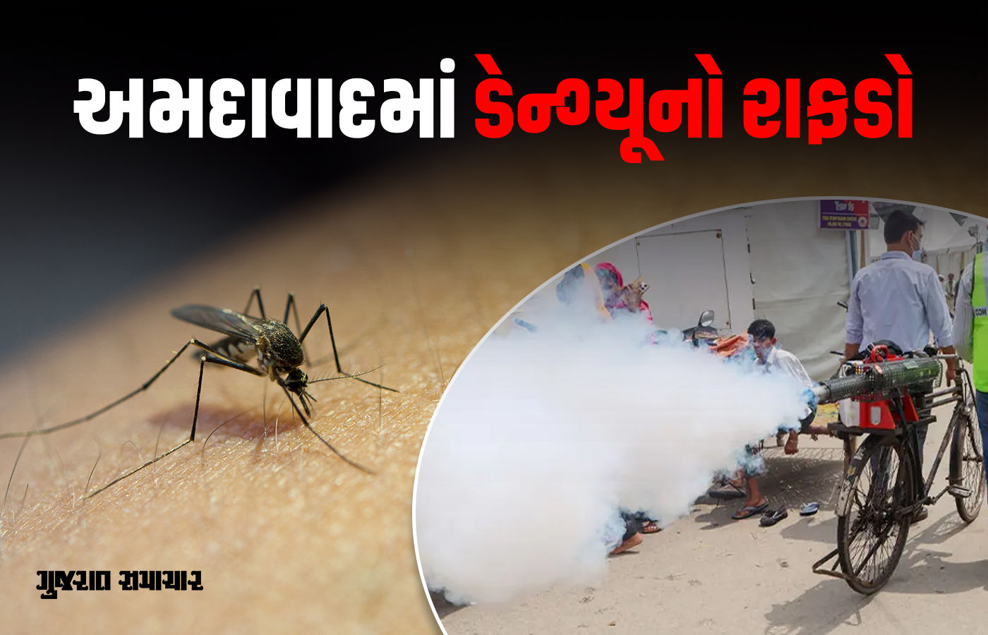 અમદાવાદમાં ડેન્ગ્યૂનો રાફડો ફાટ્યો, 13 દિવસમાં 200થી વધુ કેસથી ફફડાટ, 26 હોટસ્પોટ જાહેર