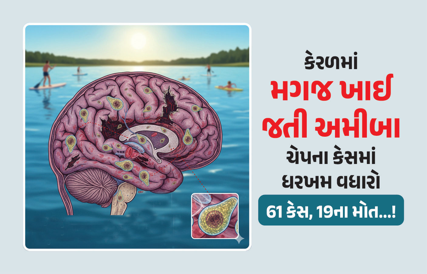 61 કેસ, 19ના મોત...! કેરળમાં  'મગજ ખાઈ જતી અમીબા'ના કારણે ફફડાટ, નવજાત બાળકથી લઈને વૃદ્ધો ઝપેટમાં