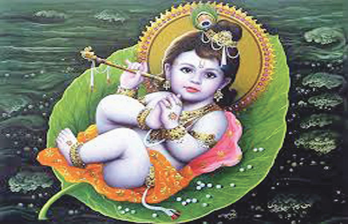 બે ઉત્સવ : એક આઝાદીનો બીજો નંદ ઘેર આનંદ ભયો...જય હો