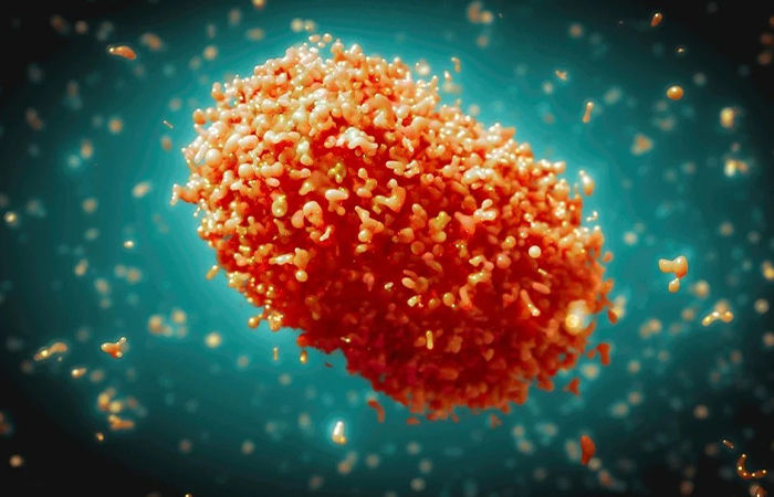 Mpox case in India: ‘No need to panic,’ say health experts