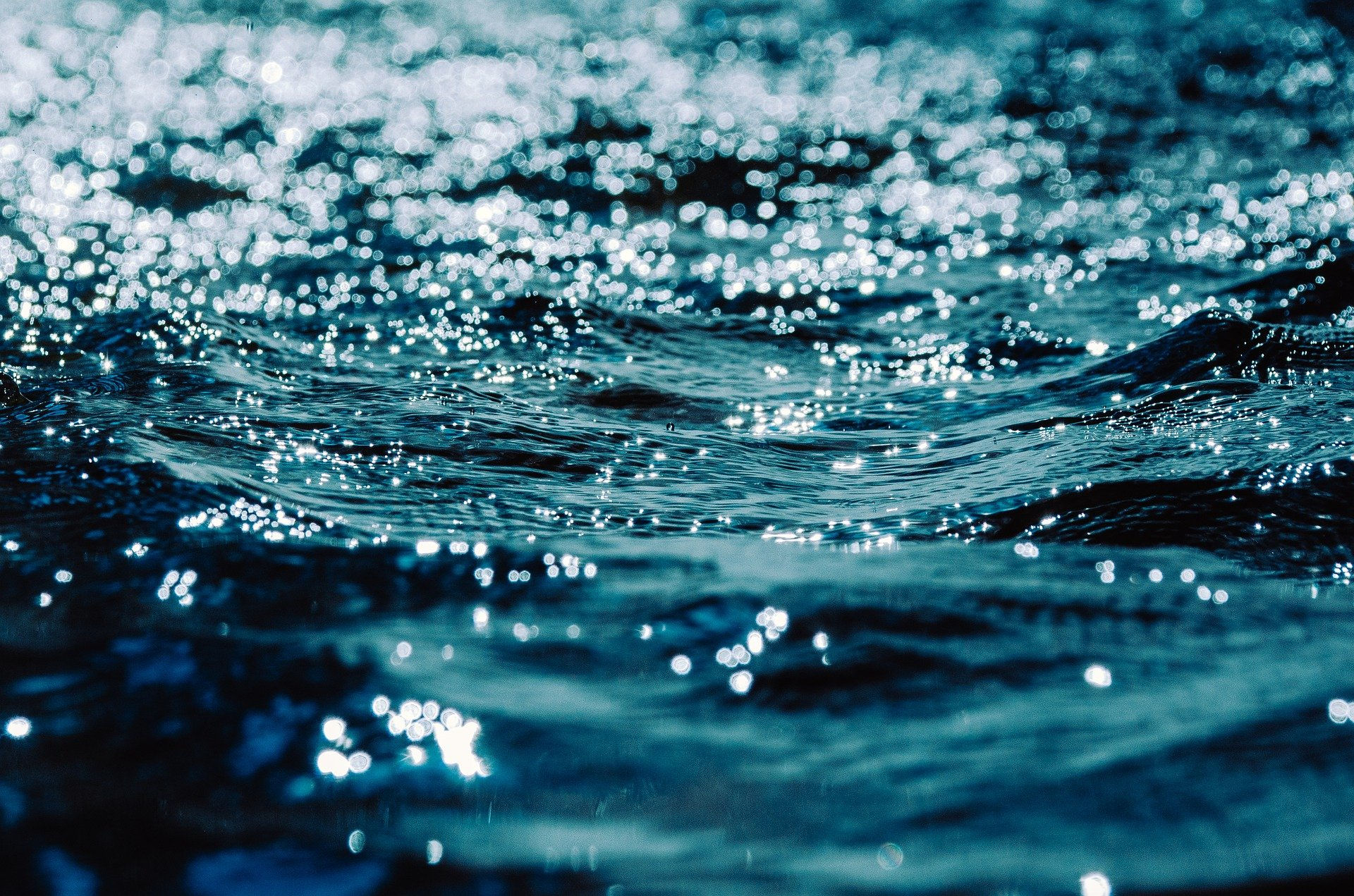 Three die by drowning while immersing Dasha Mata idol in Sabarmati