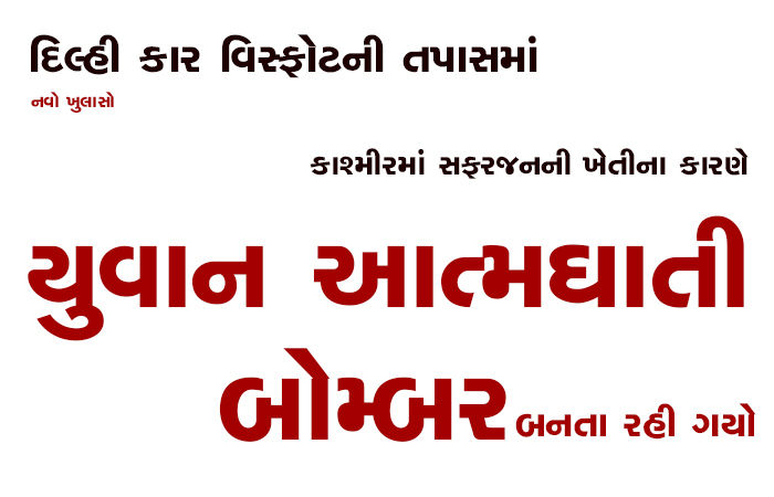 કાશ્મીરમાં સફરજનની ખેતીના કારણે યુવાન આત્મઘાતી બોમ્બર બનતા રહી ગયો