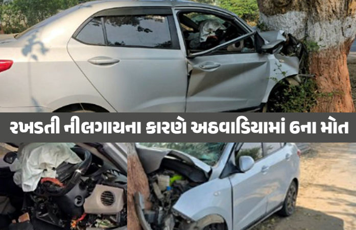 ખેડામાં નીલગાયના કારણે ફરી સર્જાયો અકસ્માત, પોલીસકર્મી સહિત 2ના ઘટના સ્થળે જ મોત