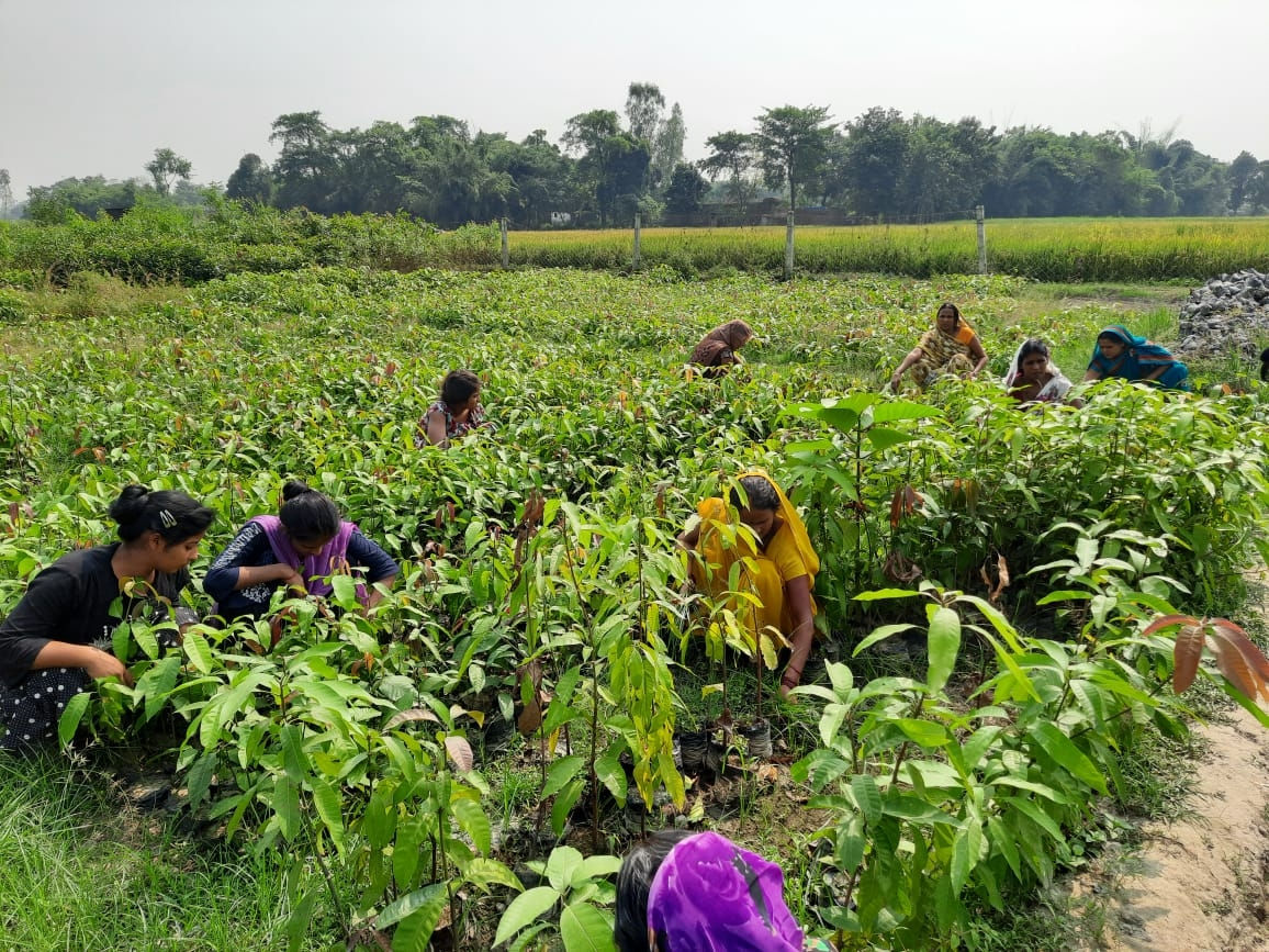 Gujarat farmers no longer need co-owner's consent for agricultural power connection